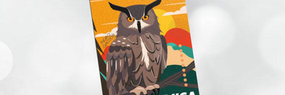 zdjęcie karty debetowej VISA Classic