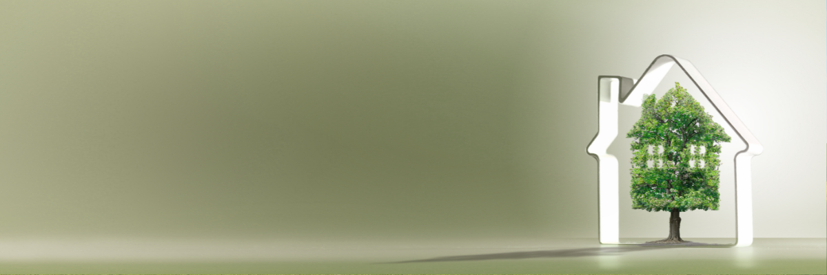 zielony dom, roślina